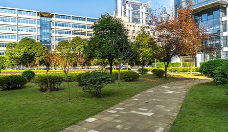 commercial landscape four