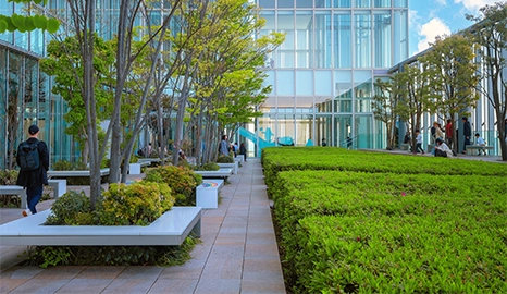commercial landscape two